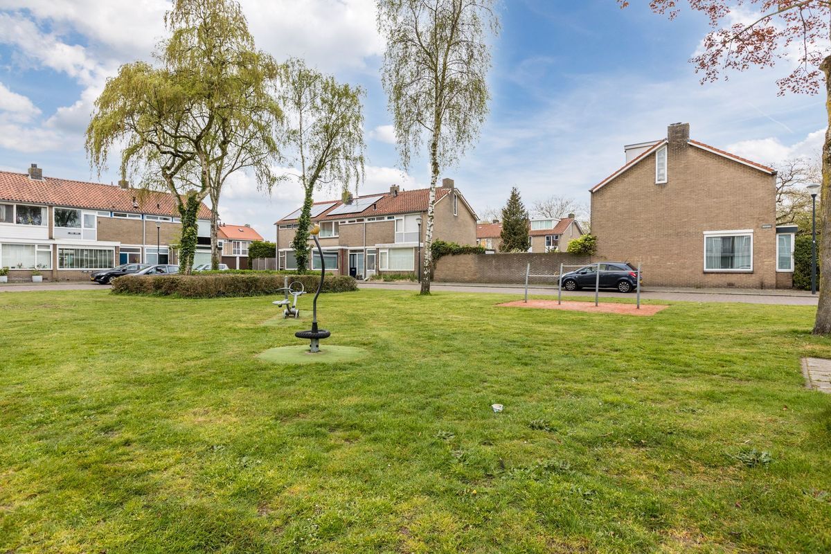 Bijvang 14 Photo Blur 42