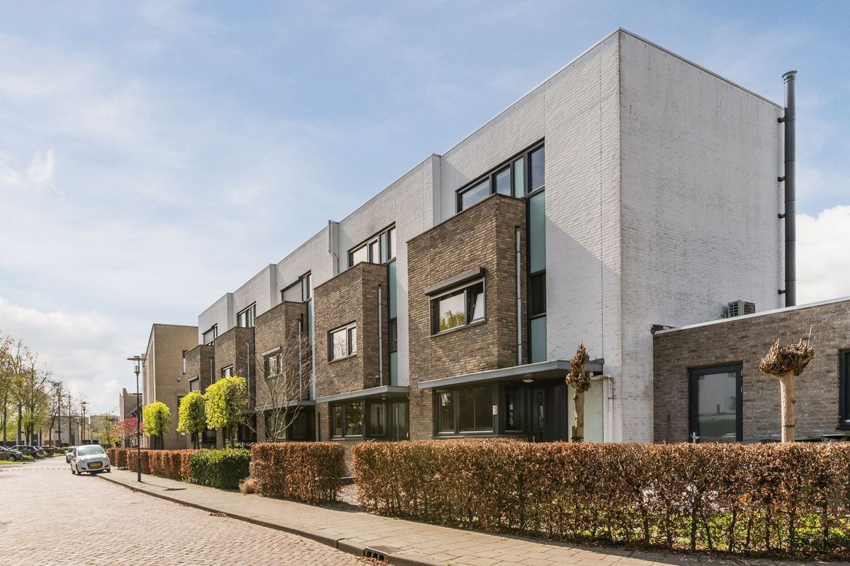 Judith Leysterplein 51 Photo Blur 5