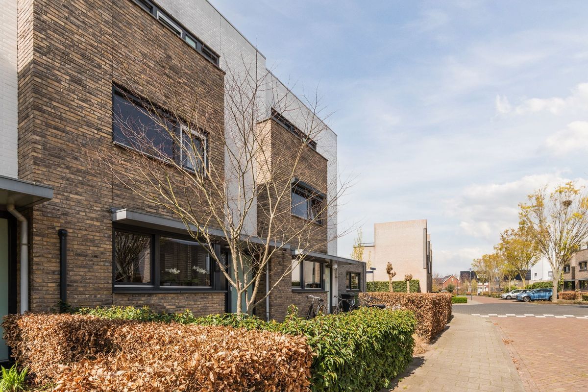 Judith Leysterplein 51 Photo Blur 7