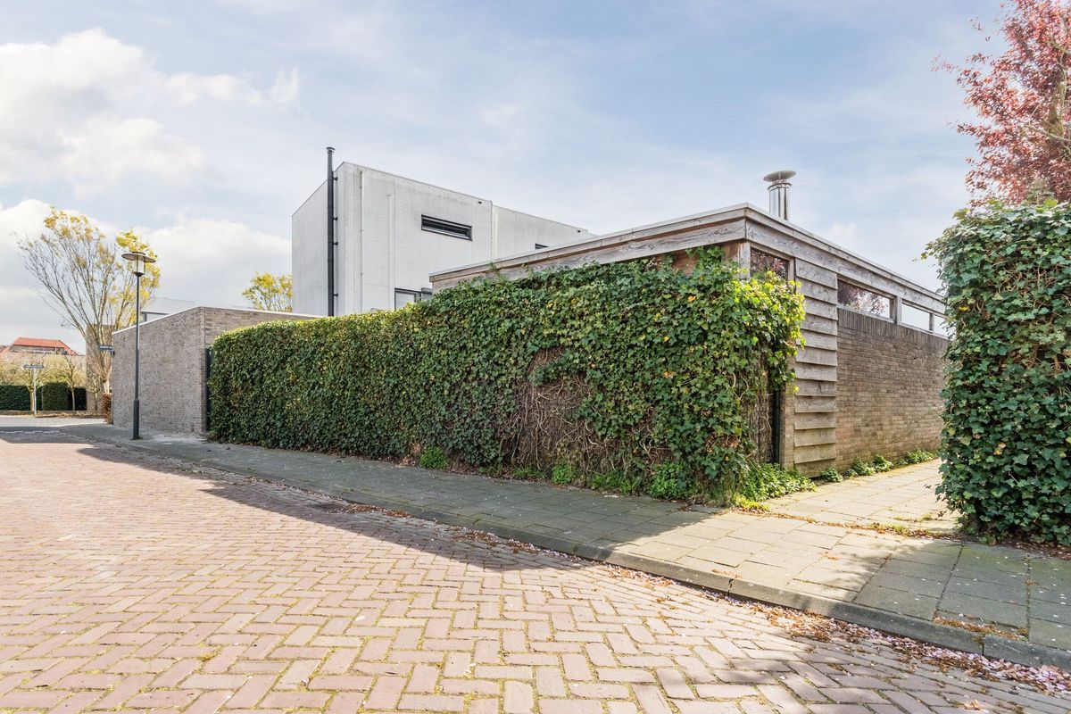 Judith Leysterplein 51 Photo Blur 56