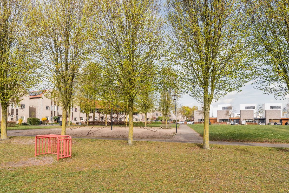 Judith Leysterplein 51 Photo Blur 58