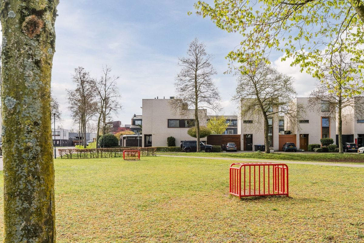 Judith Leysterplein 51 Photo Blur 57