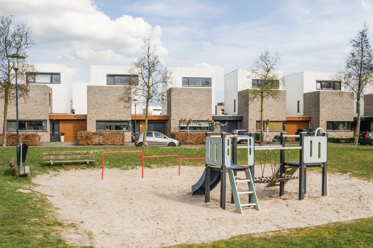 Judith Leysterplein 51 Photo Blur 60