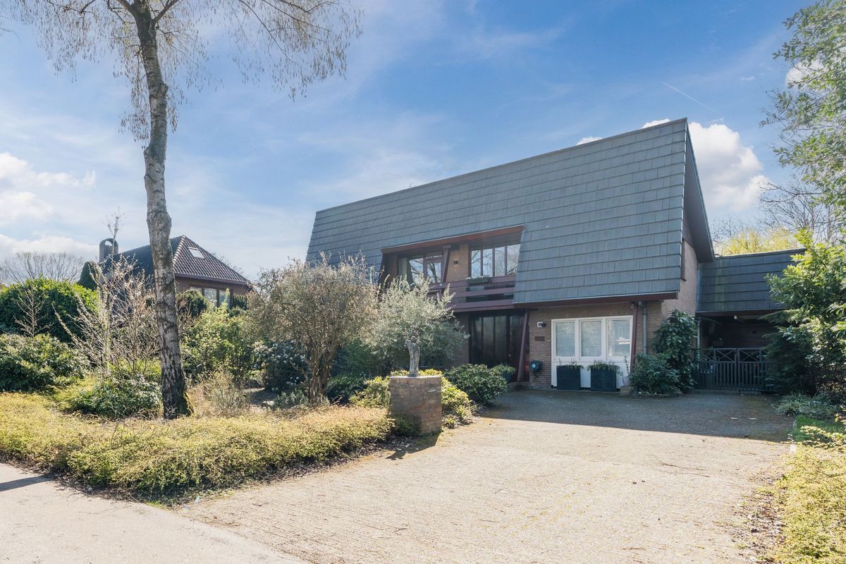 Sporkehout 23 Photo Blur 0