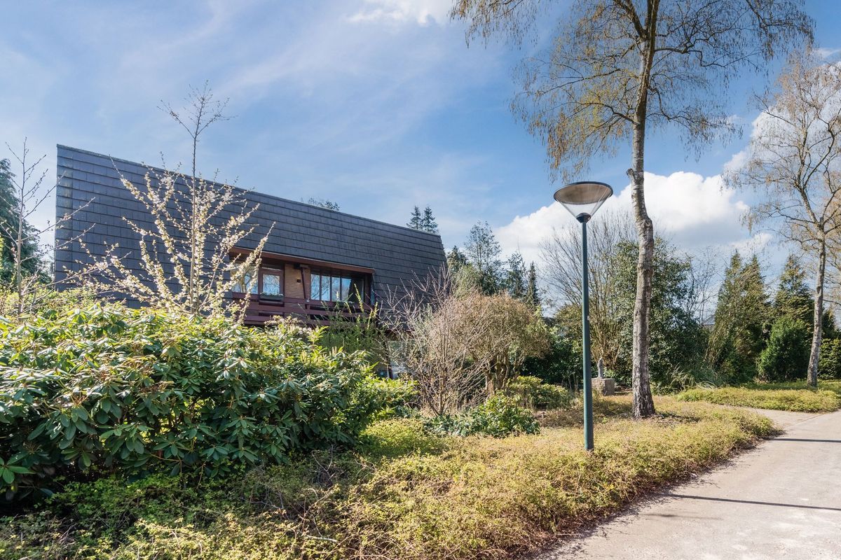 Sporkehout 23 Photo Blur 4