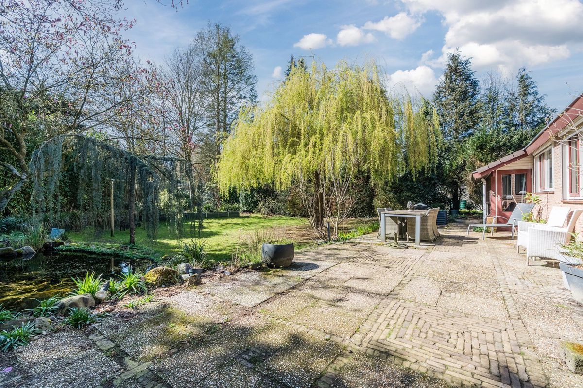 Sporkehout 23 Photo Blur 63