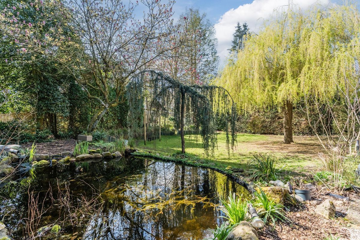 Sporkehout 23 Photo Blur 3