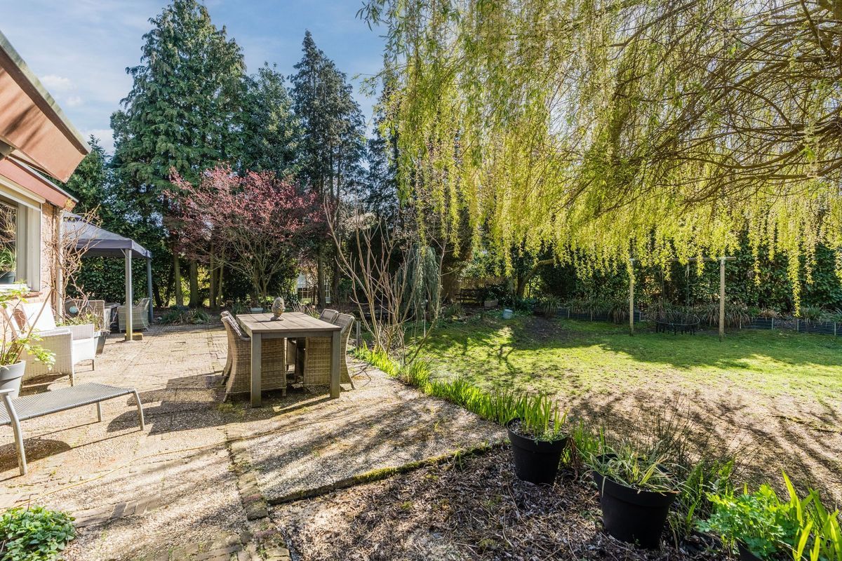 Sporkehout 23 Photo Blur 65