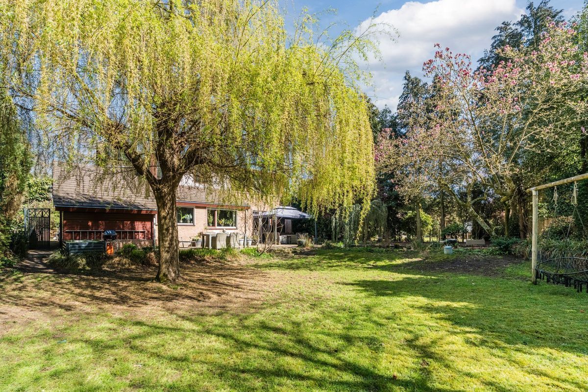 Sporkehout 23 Photo Blur 68