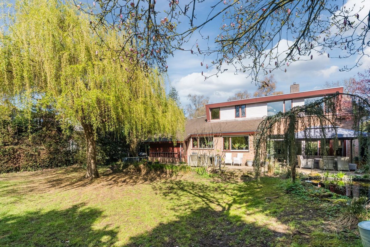 Sporkehout 23 Photo Blur 69