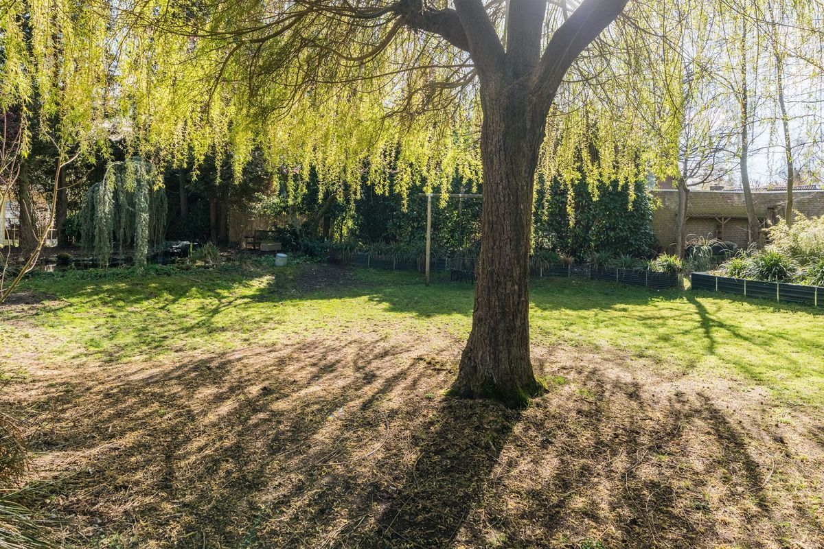 Sporkehout 23 Photo Blur 67