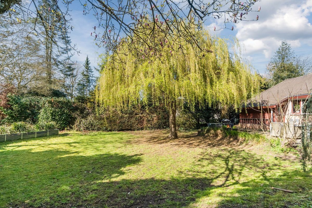 Sporkehout 23 Photo Blur 71