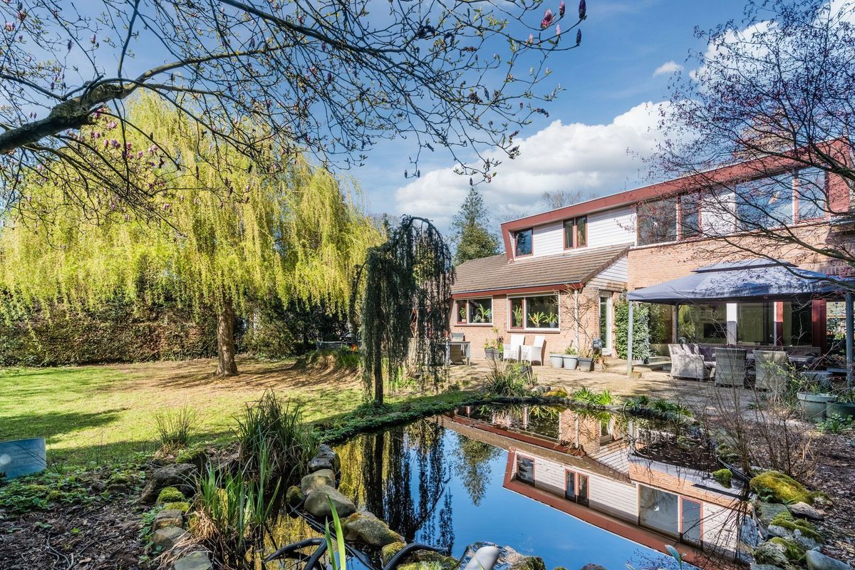 Sporkehout 23 Photo Blur 70