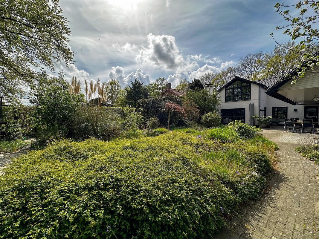 Wildertsedijk 49 Photo Blur 34