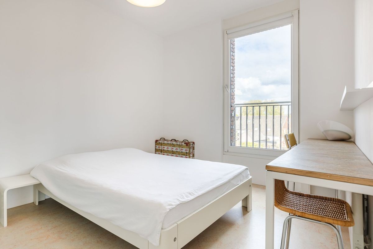 De Werf 167 Photo Blur 17