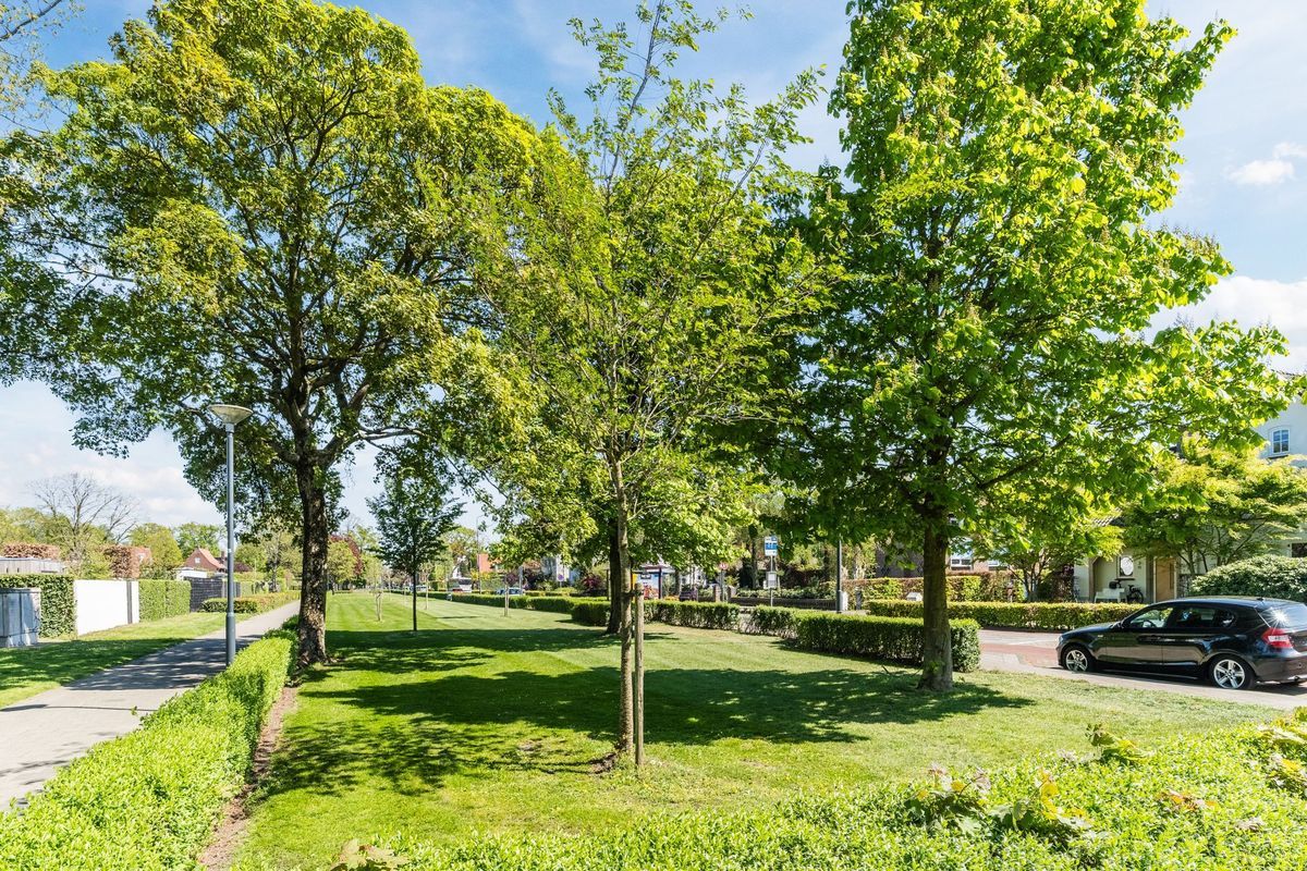 Burgemeester Verwielstraat 2 - c 17 Photo Blur 24