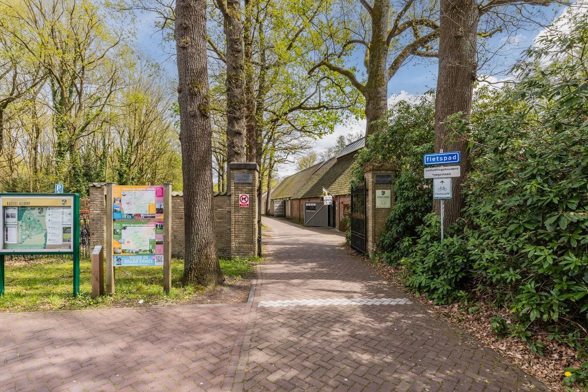 Smient 16 Photo Blur 45