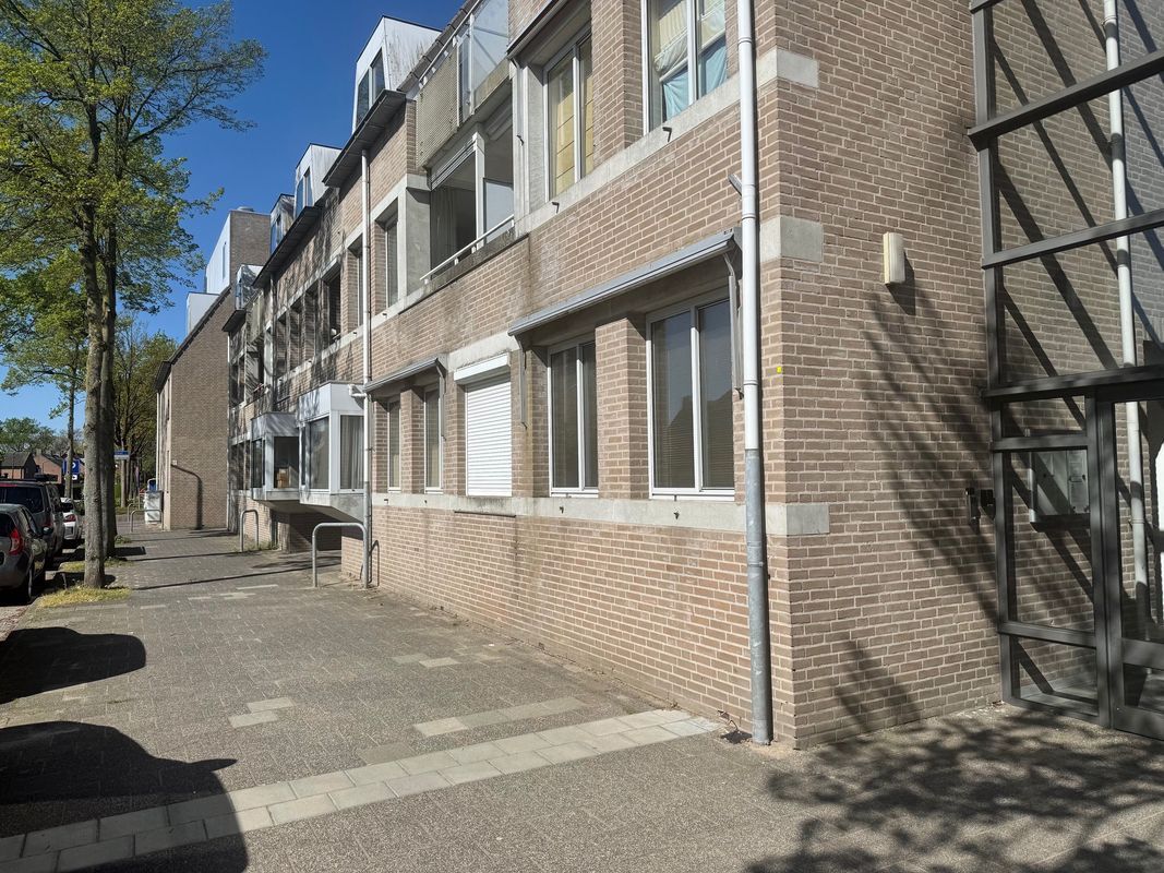 Withof 6 Photo Blur 34