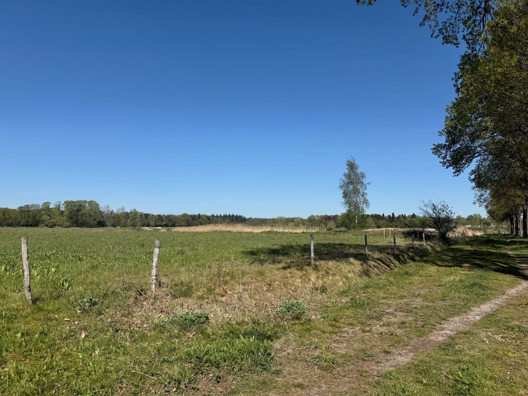 Withof 6 Photo Blur 35