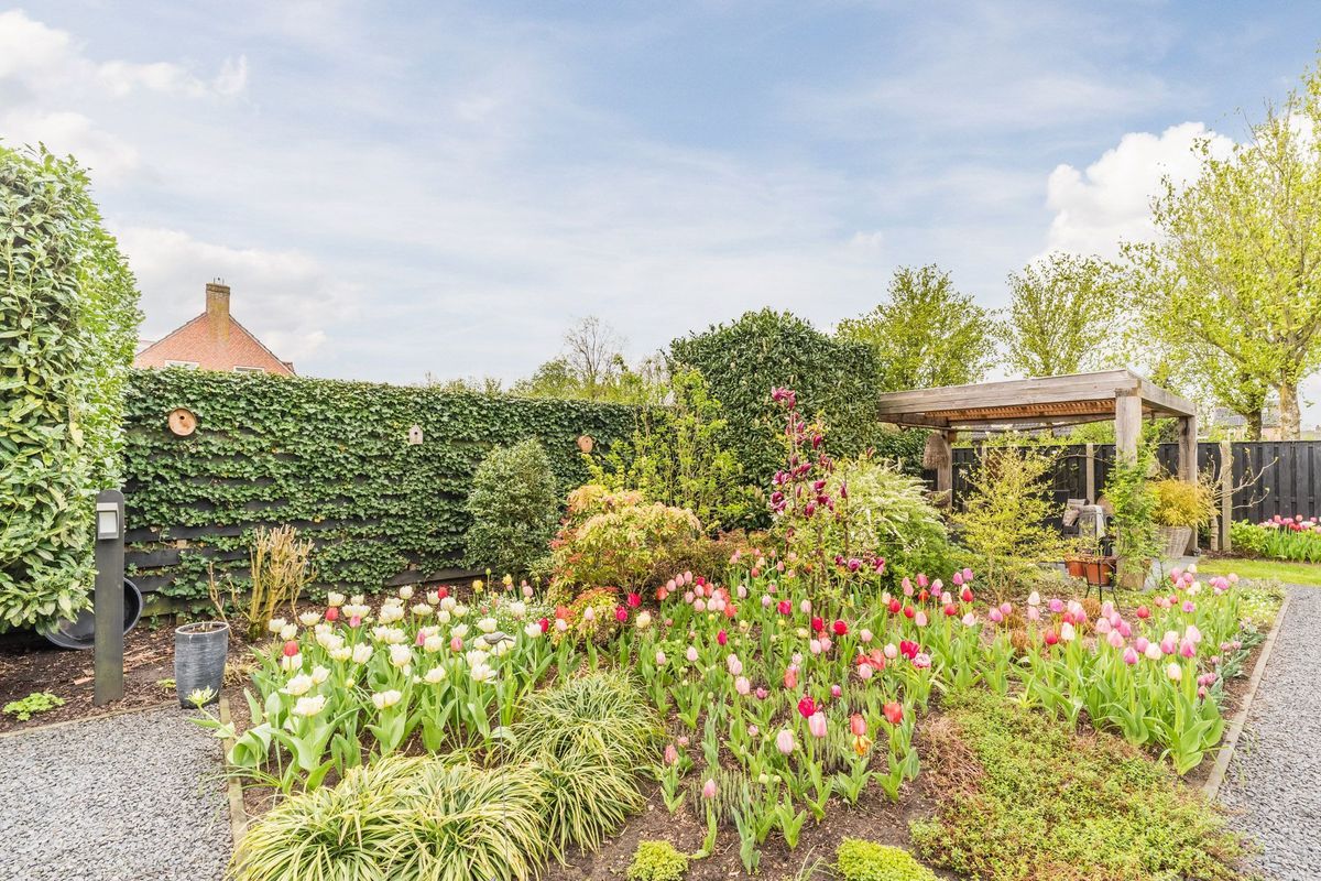 Bijvoetstraat 28 Photo Blur 42