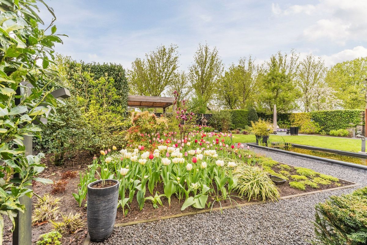 Bijvoetstraat 28 Photo Blur 46