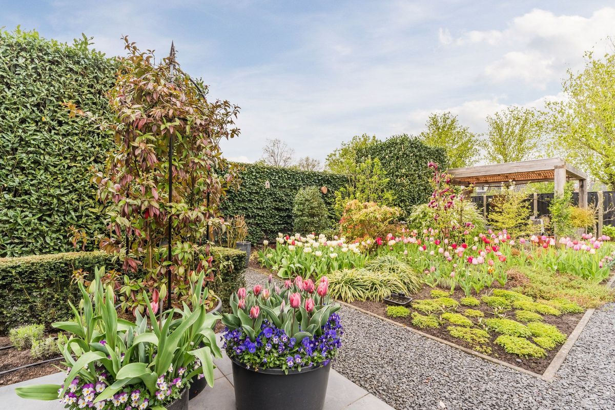 Bijvoetstraat 28 Photo Blur 56