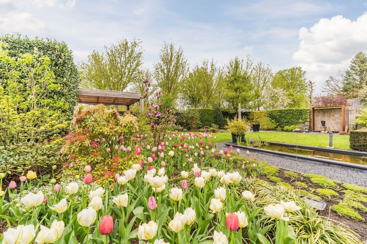 Bijvoetstraat 28 Photo Blur 45