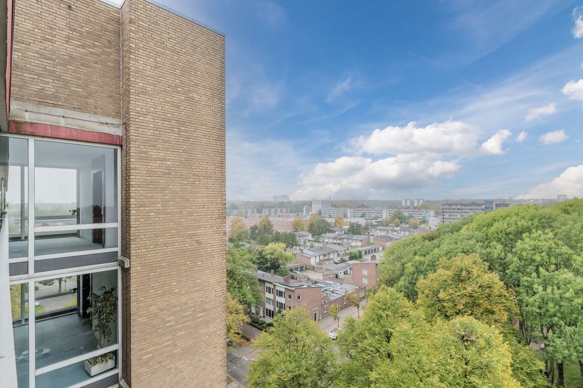 Postelse Hoeflaan 210 Photo Blur 12