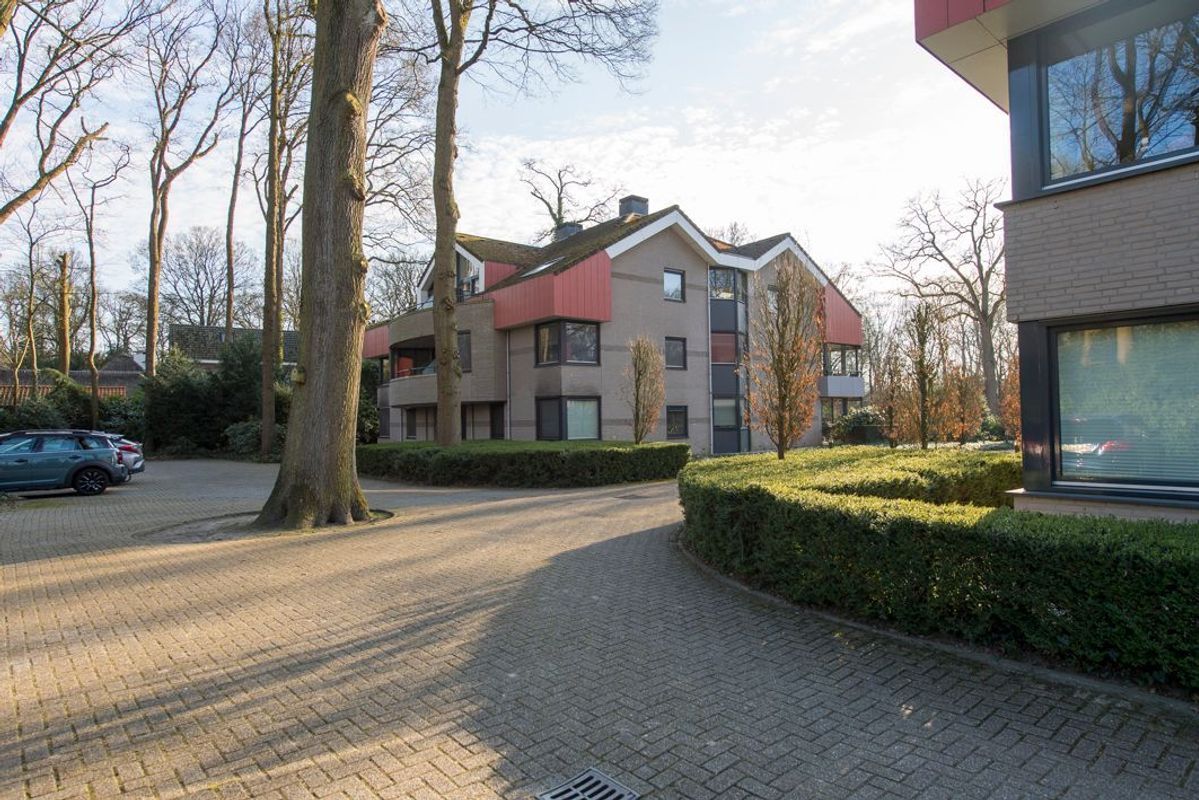 Tilburgseweg 193 - 12 Photo Blur 36
