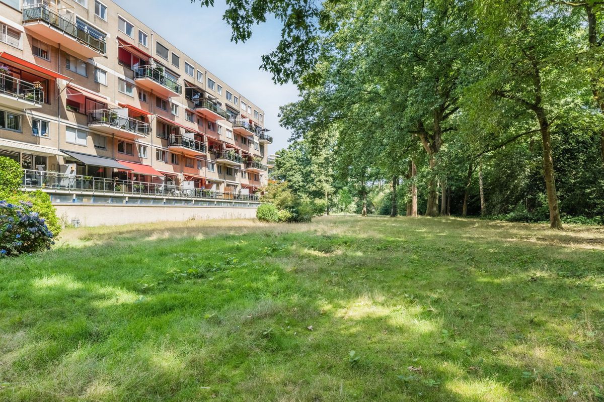Zwartvenseweg 118 Photo Blur 34