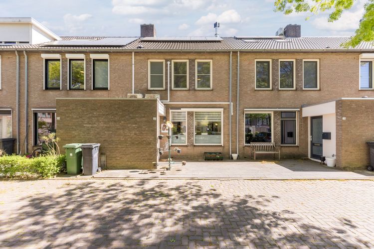 Schutsboom 37 Photo 1