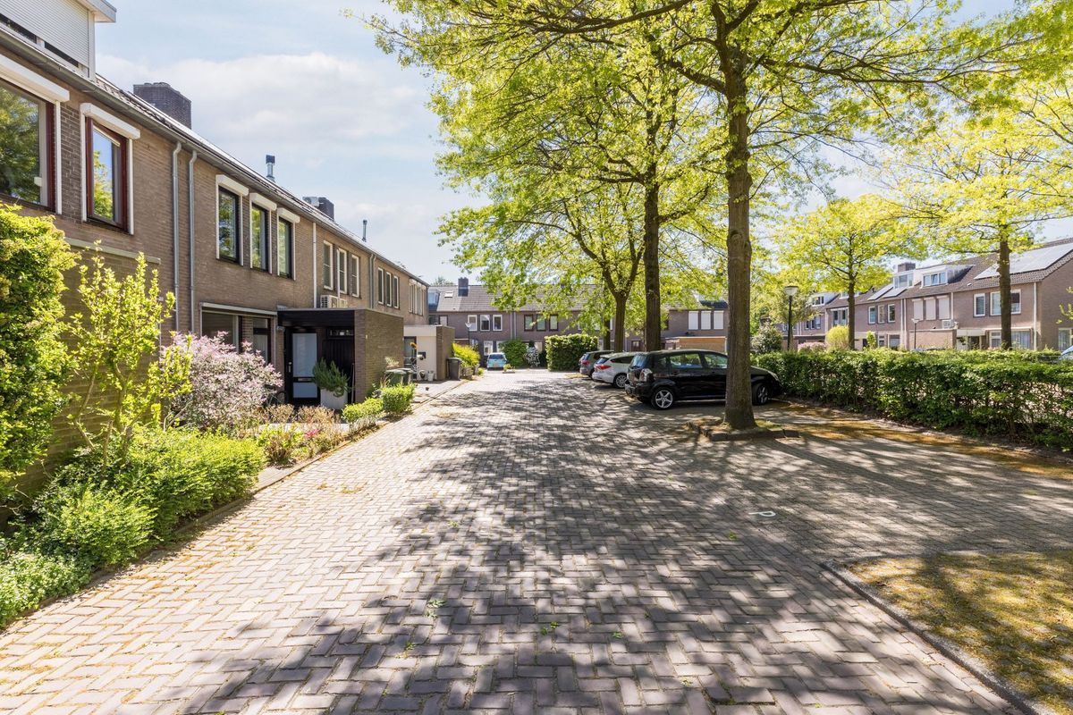 Schutsboom 37 Photo Blur 2