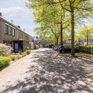 Schutsboom 37 Photo 2
