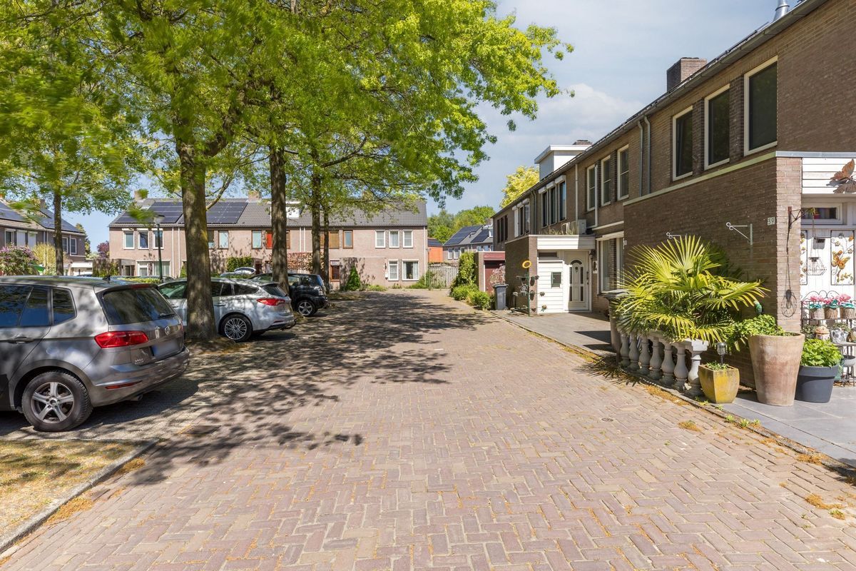 Schutsboom 37 Photo Blur 45