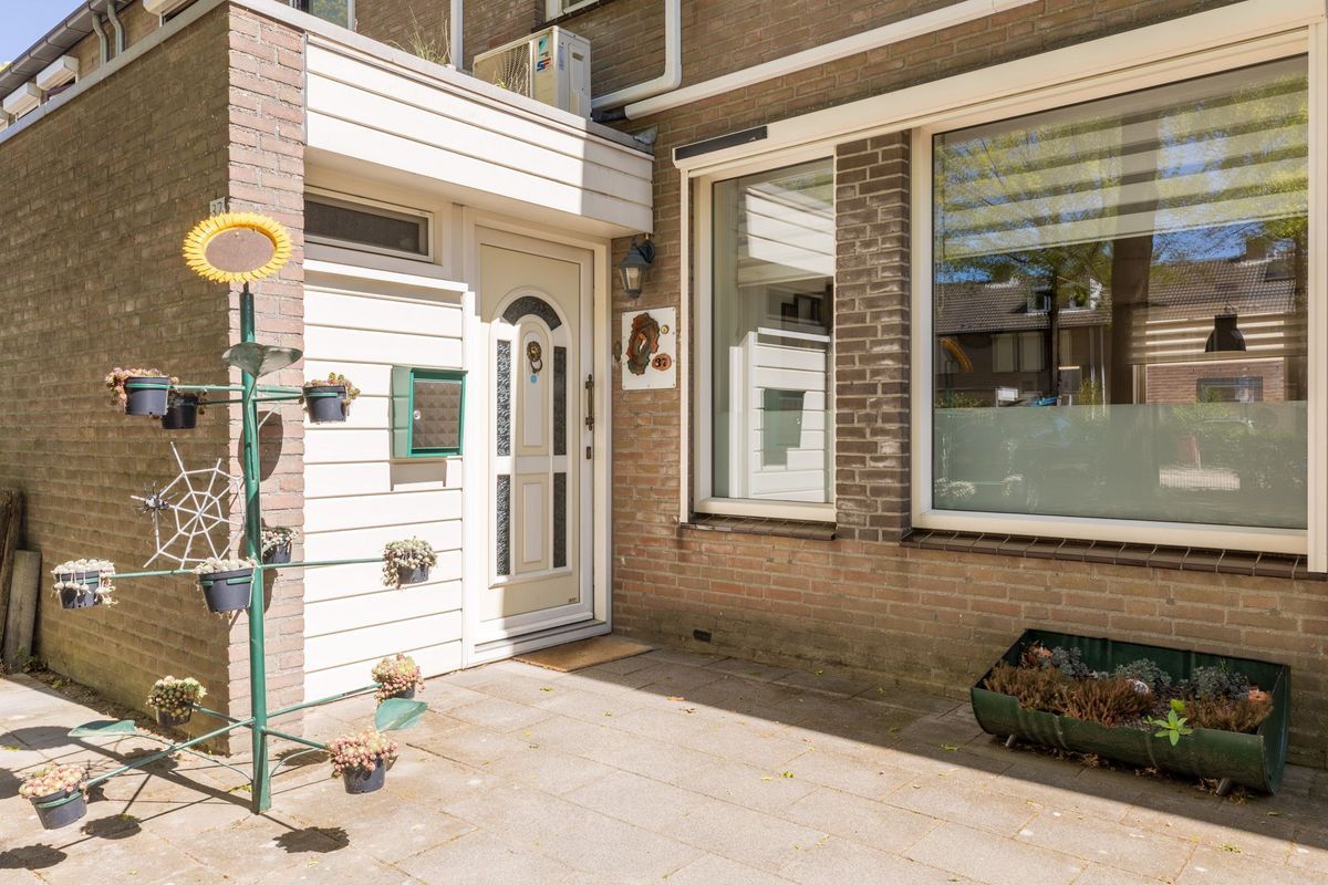 Schutsboom 37 Photo Blur 5
