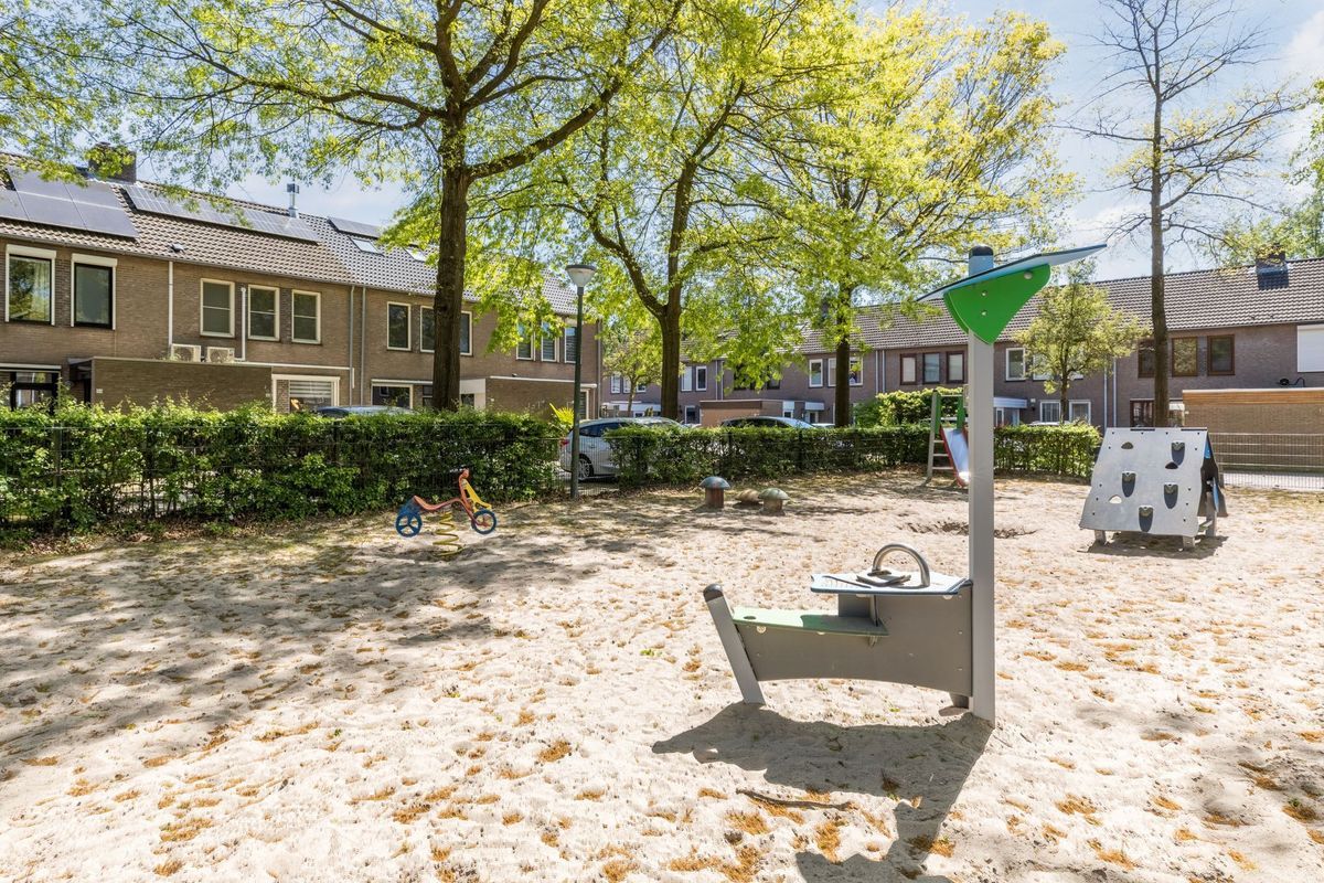 Schutsboom 37 Photo Blur 47