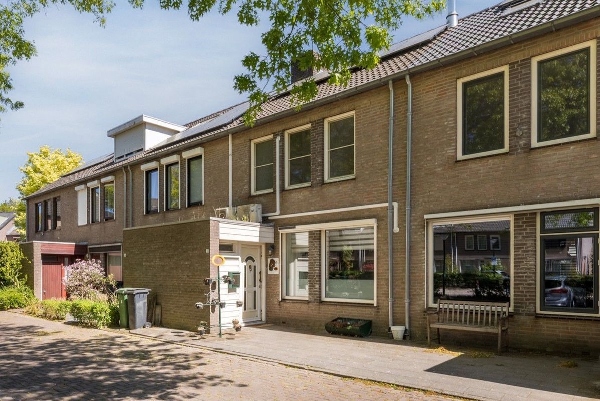 Schutsboom 37 Photo Blur 0