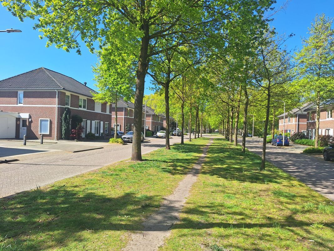 Dubbeldamstraat 30 Photo Blur 33