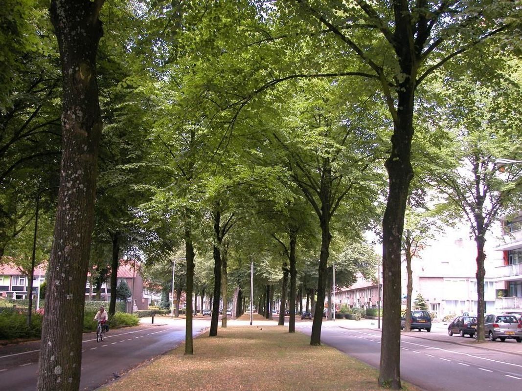 Postelse Hoeflaan 142 Photo Blur 5