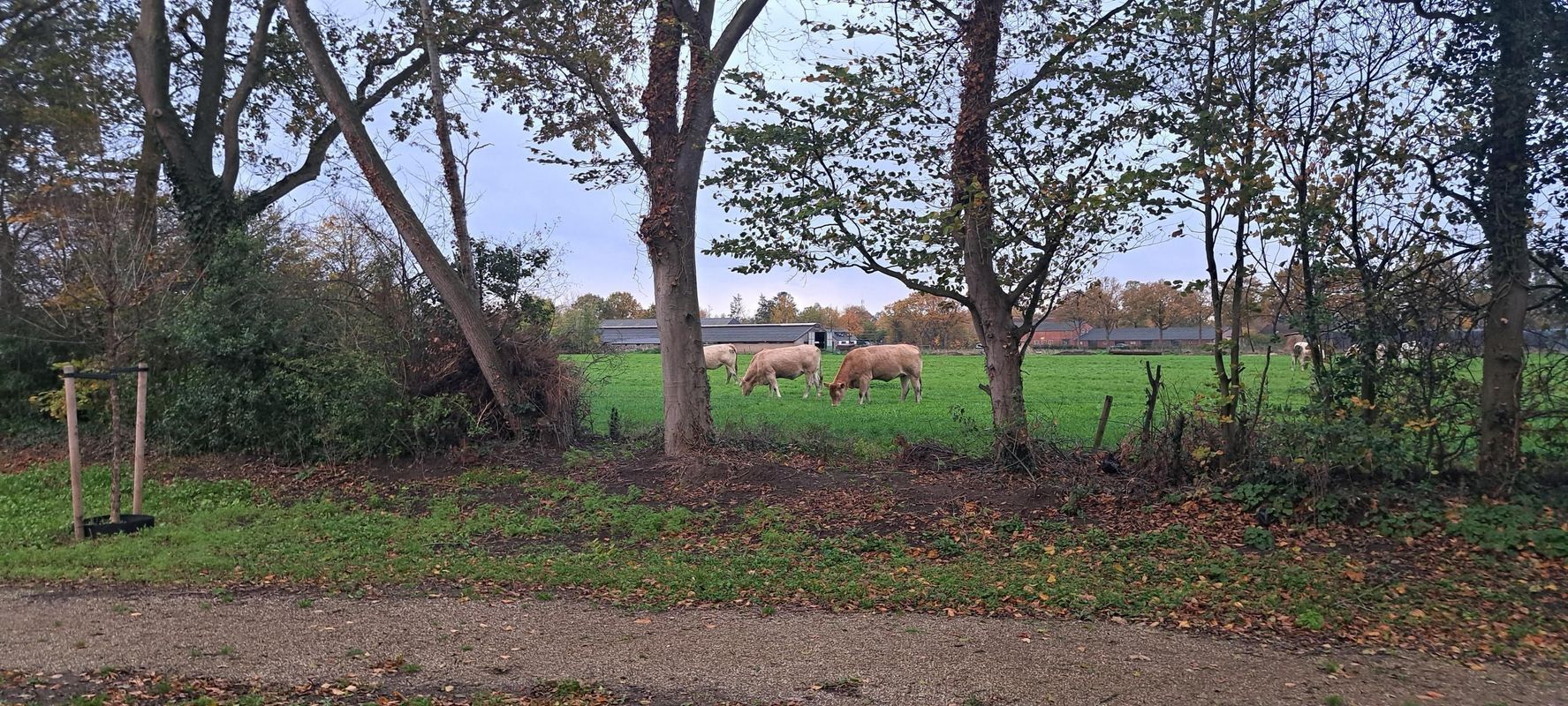 Groenkazerne 54 Photo Blur 43