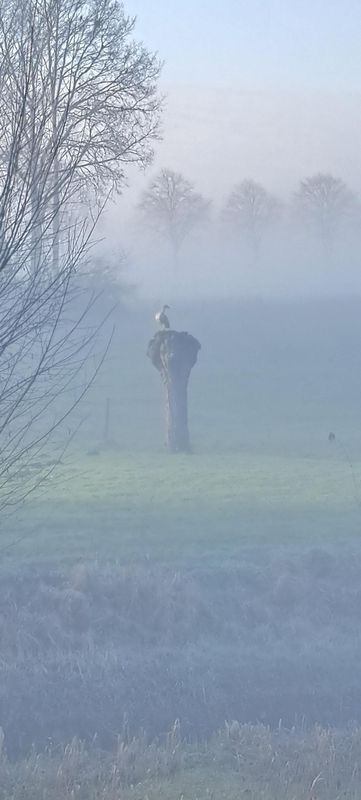 Groenkazerne 54 Photo Blur 45