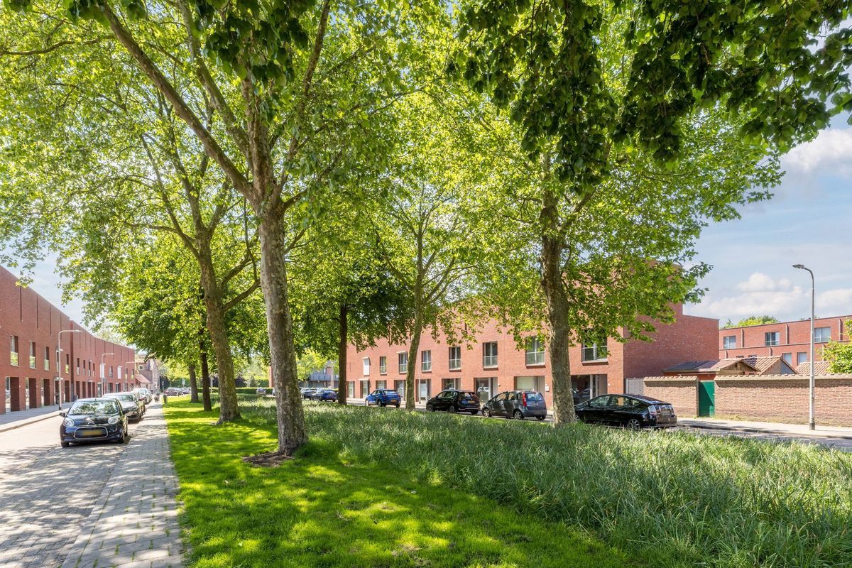 Outshoornstraat 52 Photo Blur 28
