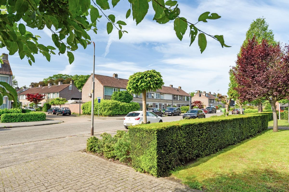 Groene Woud 66 Photo Blur 41