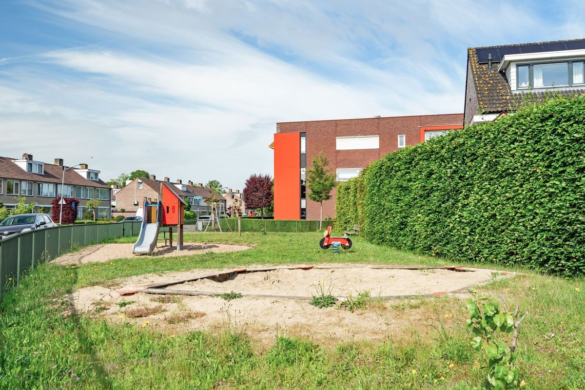 Groene Woud 66 Photo Blur 42