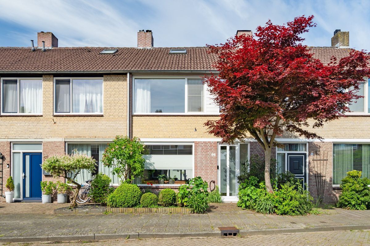 Groene Woud 66 Photo Blur 0