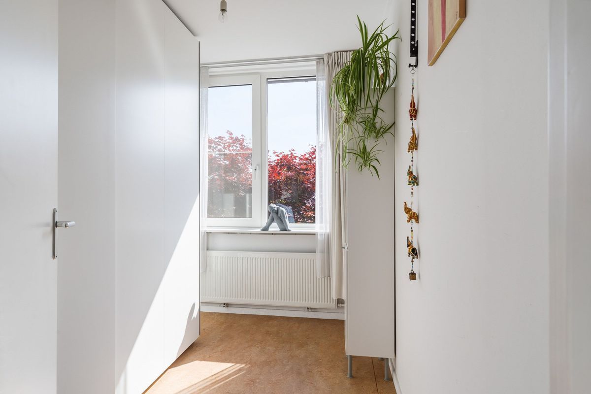 Groene Woud 66 Photo Blur 24