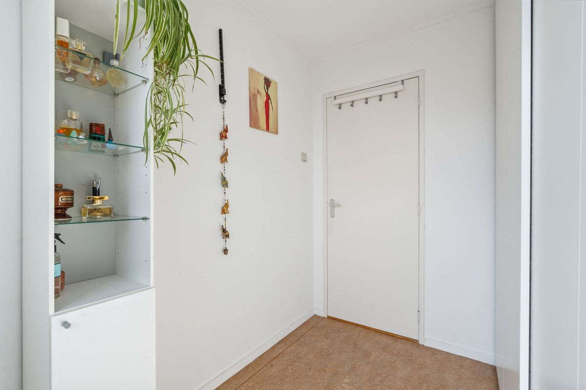 Groene Woud 66 Photo Blur 25