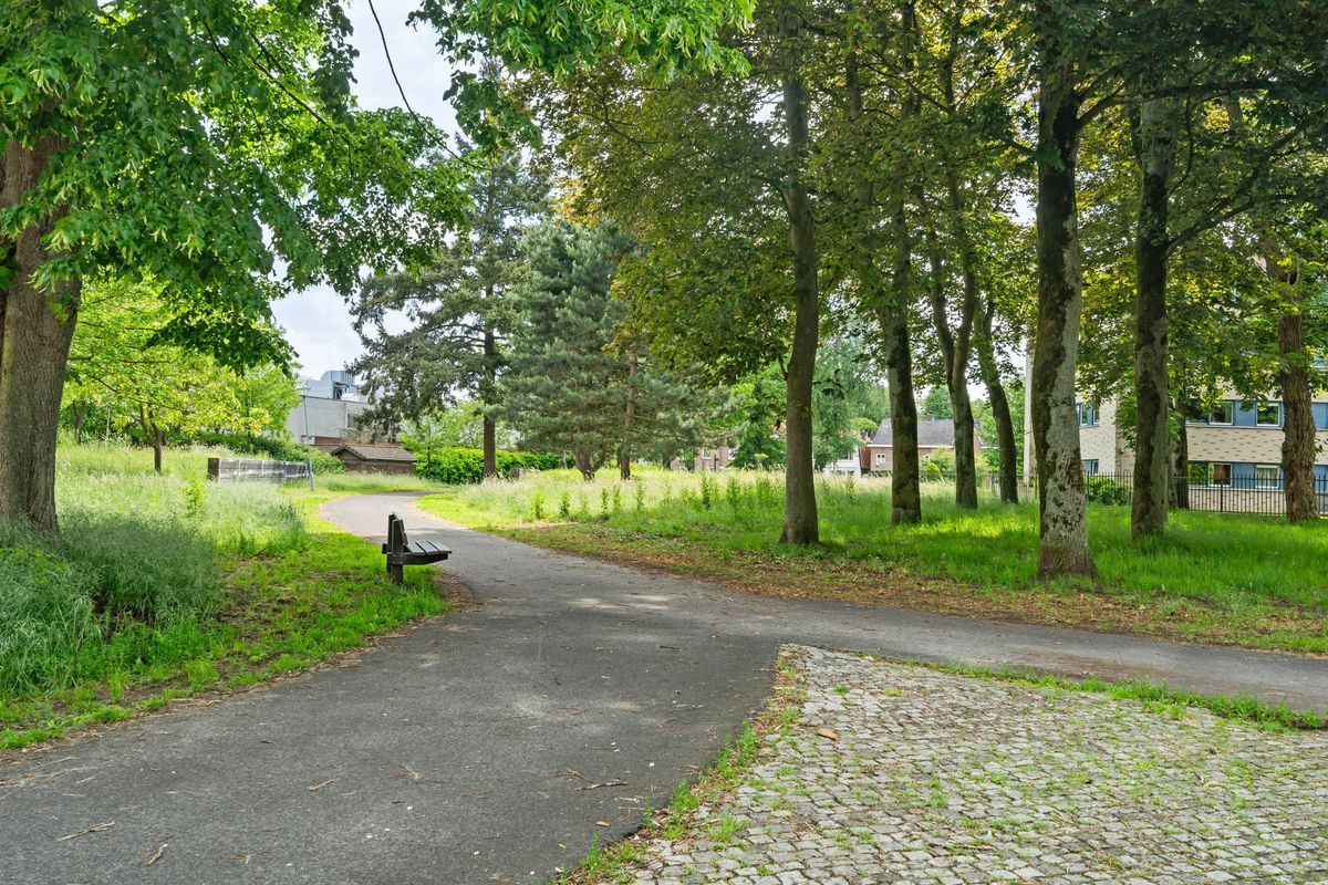 Groene Woud 66 Photo Blur 43