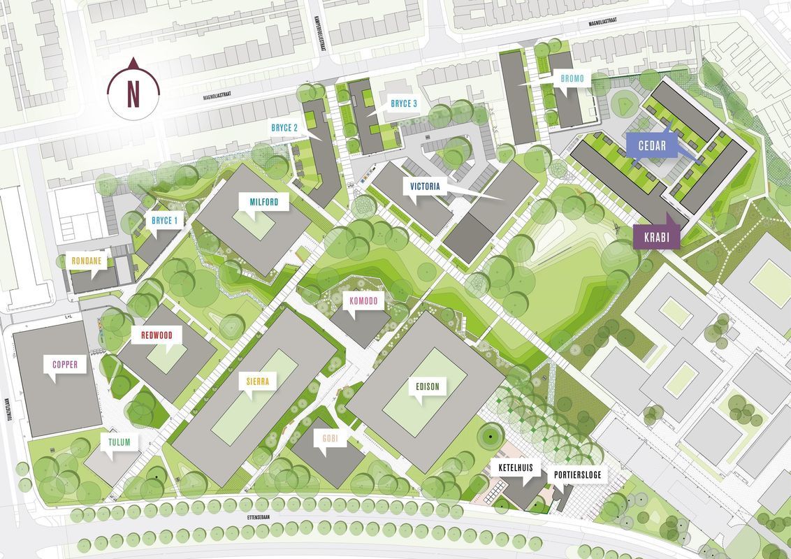 BLOSSEM Cedar | 9 Parkvilla's | Start verkoop 20 juni 2026 Photo Blur 5