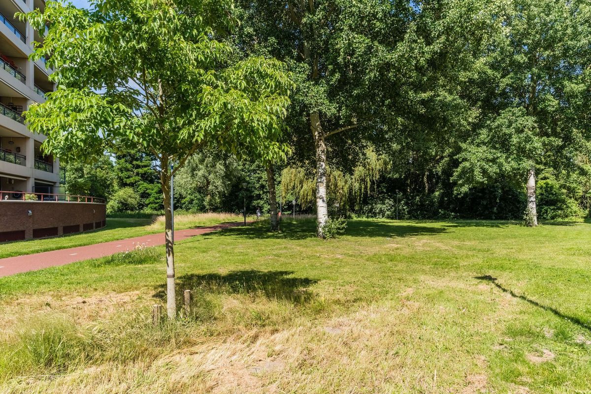 Hofdael 168 Photo Blur 60